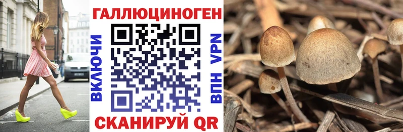 Псилоцибиновые грибы ЛСД  Купить закладки  Покровск 